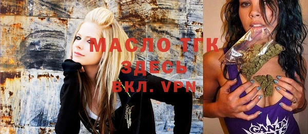 spice Инта