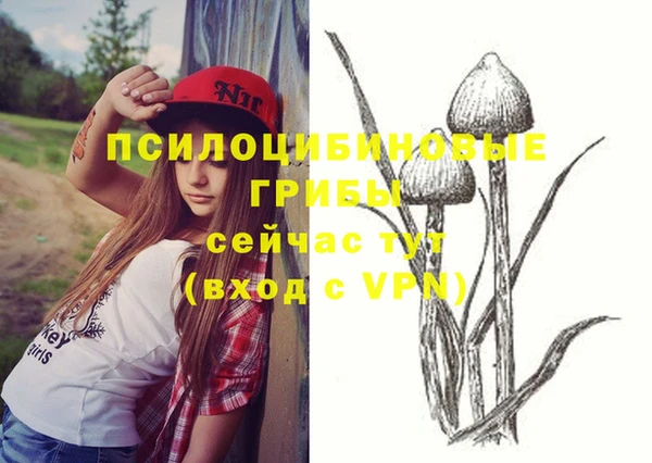а пвп мука Богородицк