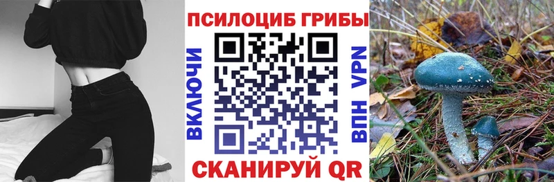 Галлюциногенные грибы ЛСД  дарк нет как зайти  Клинцы  OMG рабочий сайт 
