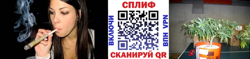 Шишки марихуана ГИДРОПОН  Клинцы 